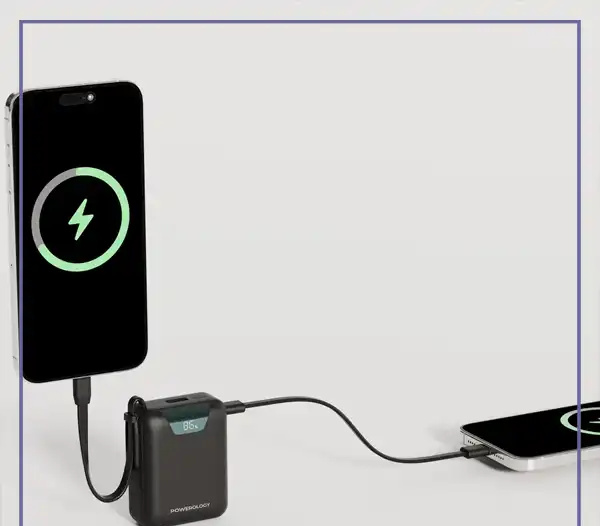 پاوربانک 20000 با کابل تایپ سی پاورولوژی Powerology York Power Bank PPBM102BK (E)