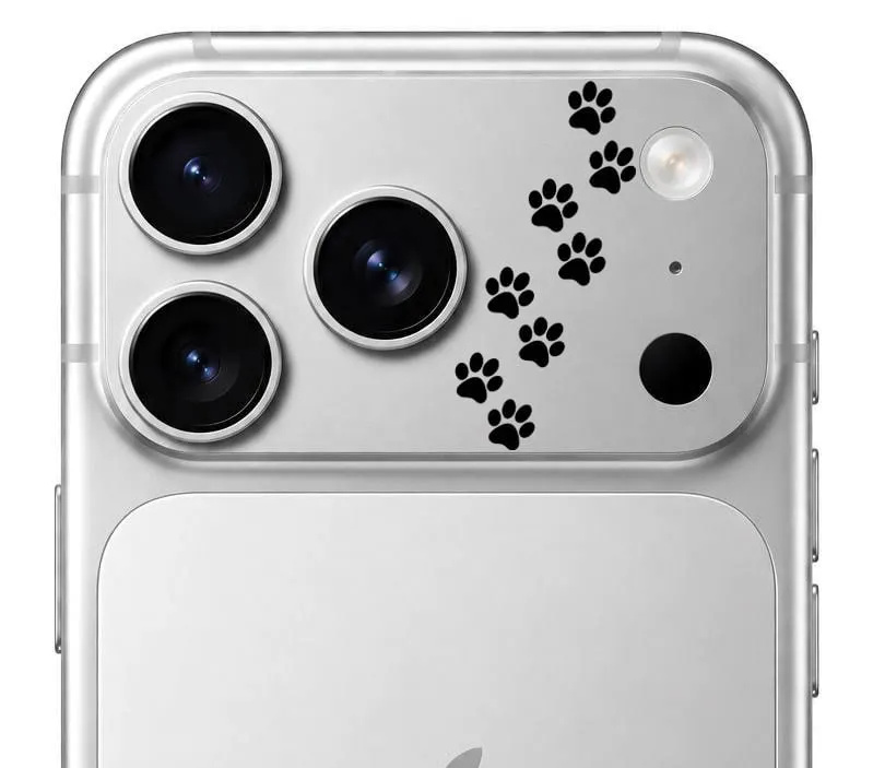 محافظ دور لنز طرح پنجه مشکی بلو Blueo Invisible Shock-Resistant Lens Protection (G)