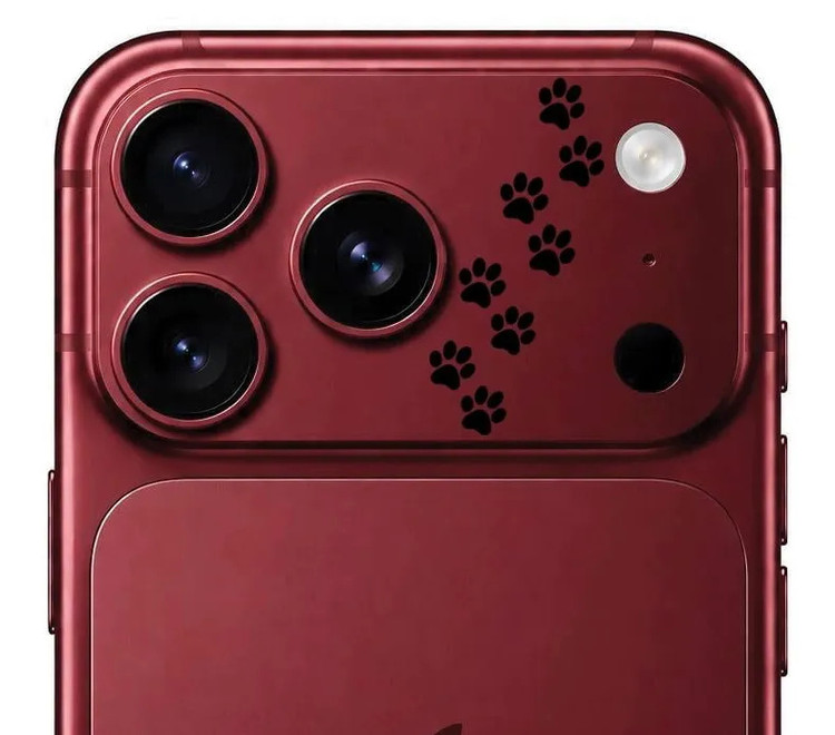 محافظ دور لنز طرح پنجه مشکی بلو Blueo Invisible Shock-Resistant Lens Protection (G)