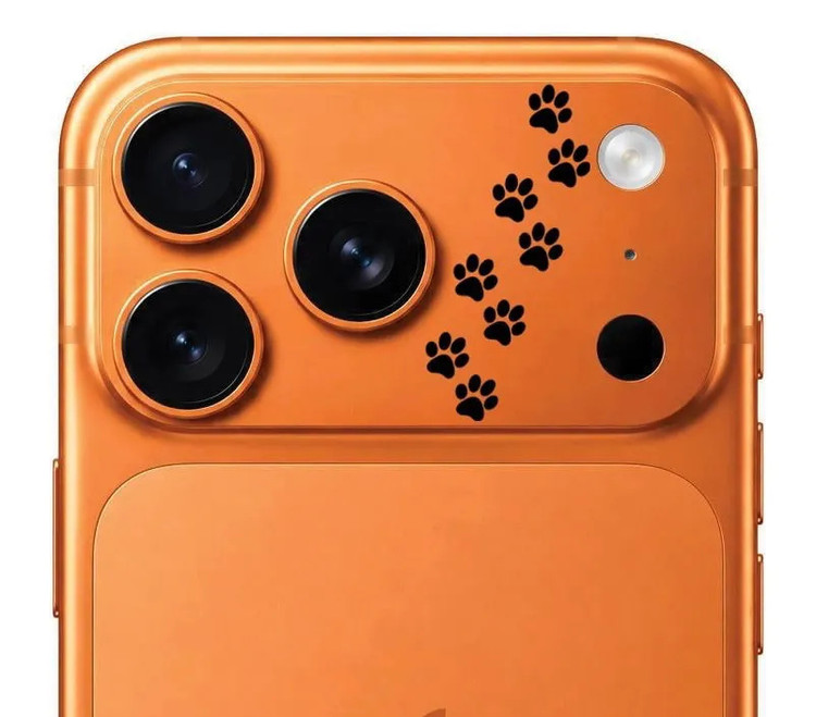 محافظ دور لنز طرح پنجه مشکی بلو Blueo Invisible Shock-Resistant Lens Protection (G)