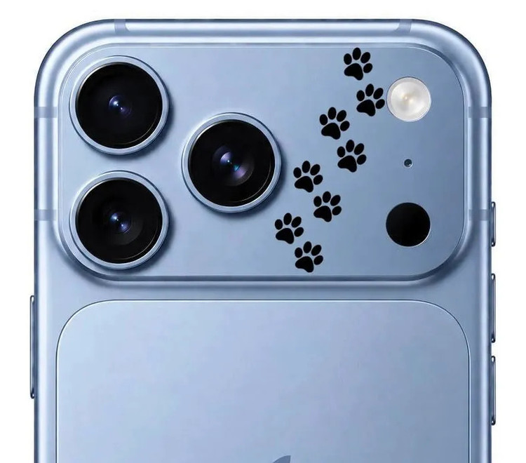 محافظ دور لنز طرح پنجه مشکی بلو Blueo Invisible Shock-Resistant Lens Protection (G)