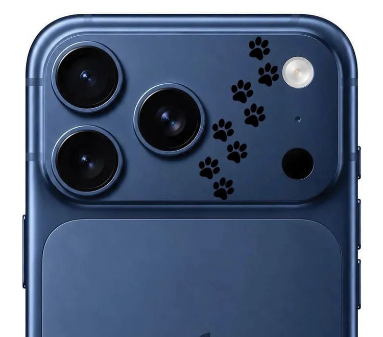محافظ دور لنز طرح پنجه مشکی بلو Blueo Invisible Shock-Resistant Lens Protection (G)